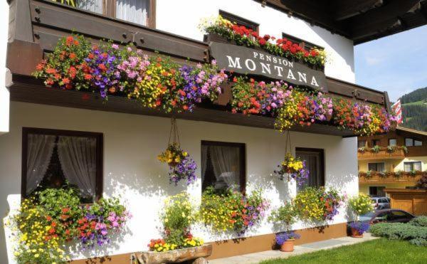 Pension Montana Wagrain Extérieur photo